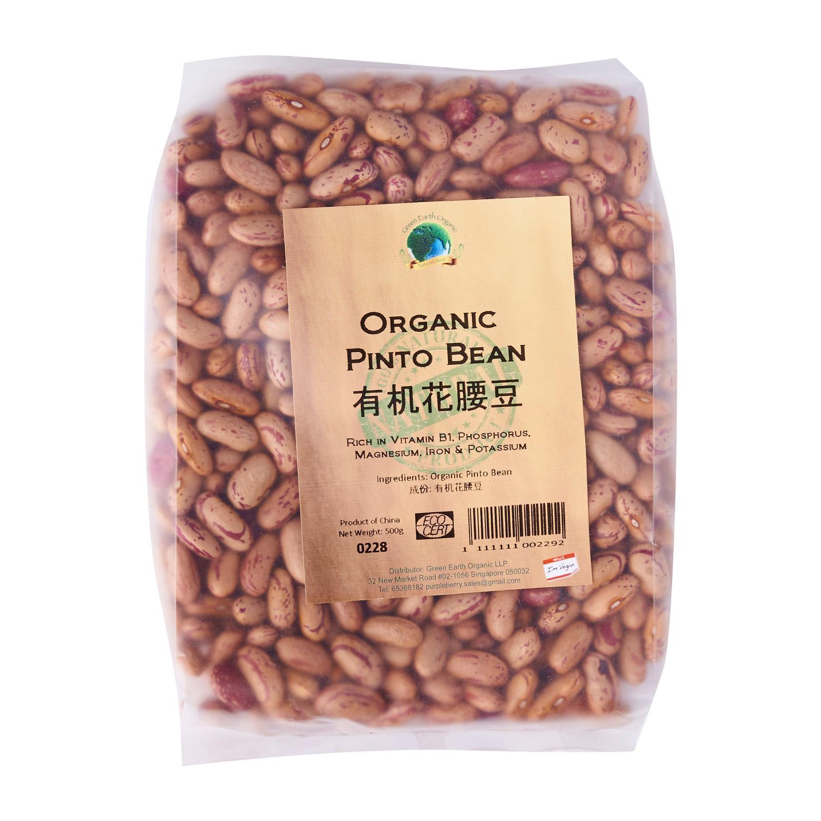 Organic Pinto Bean
