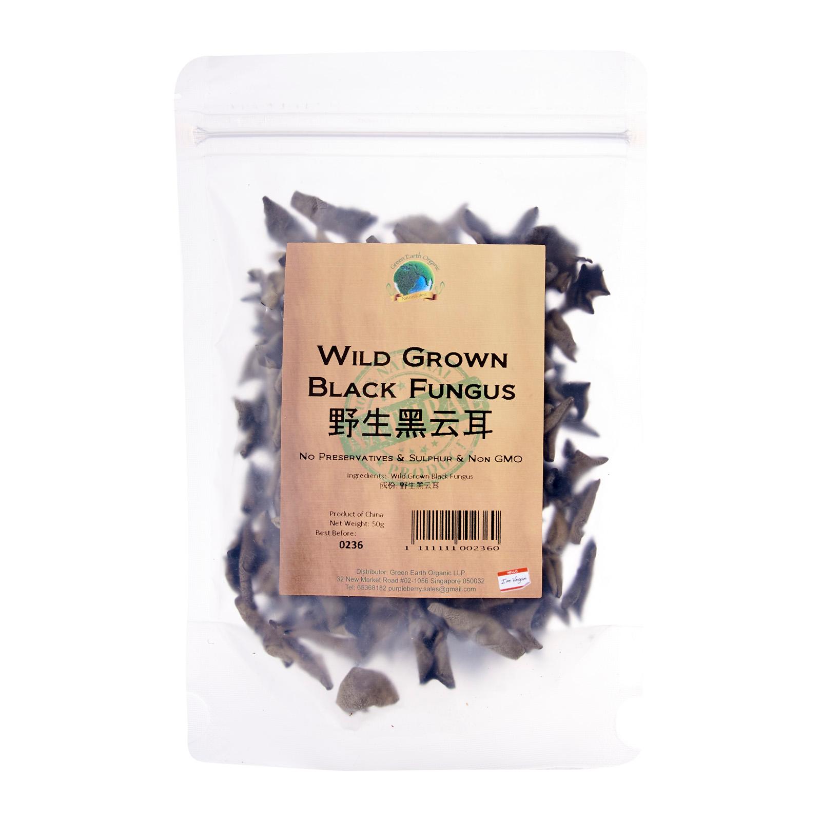 Wild Black Fungus