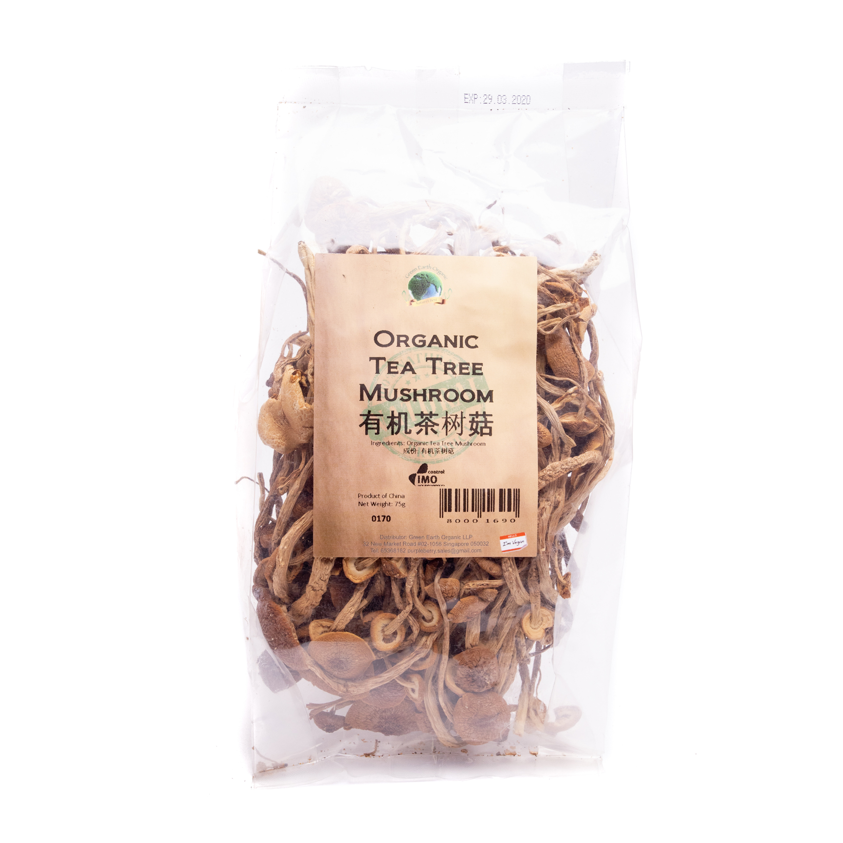 Organic Tea Tree Mushroom